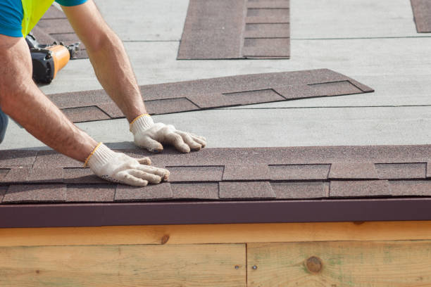 Best Roof Moss and Algae Removal  in Glen Burnie, MD